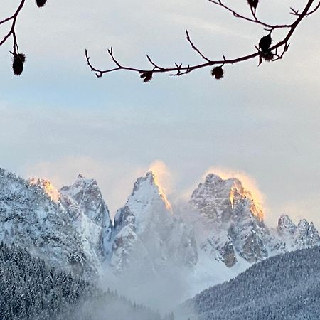 Fra Rose E Mughi Panzió Domegge di Cadore Kültér fotó