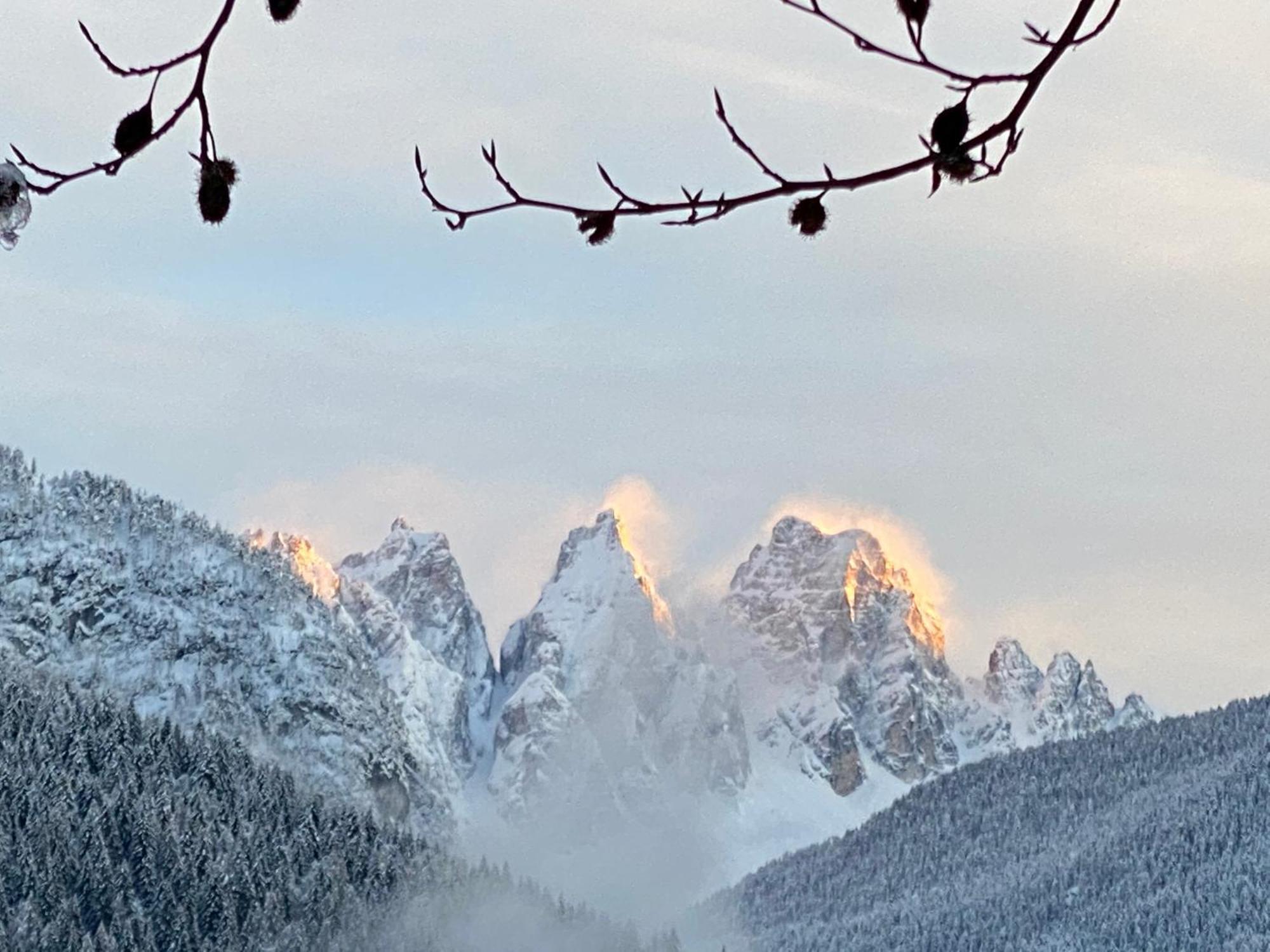 Fra Rose E Mughi Panzió Domegge di Cadore Kültér fotó