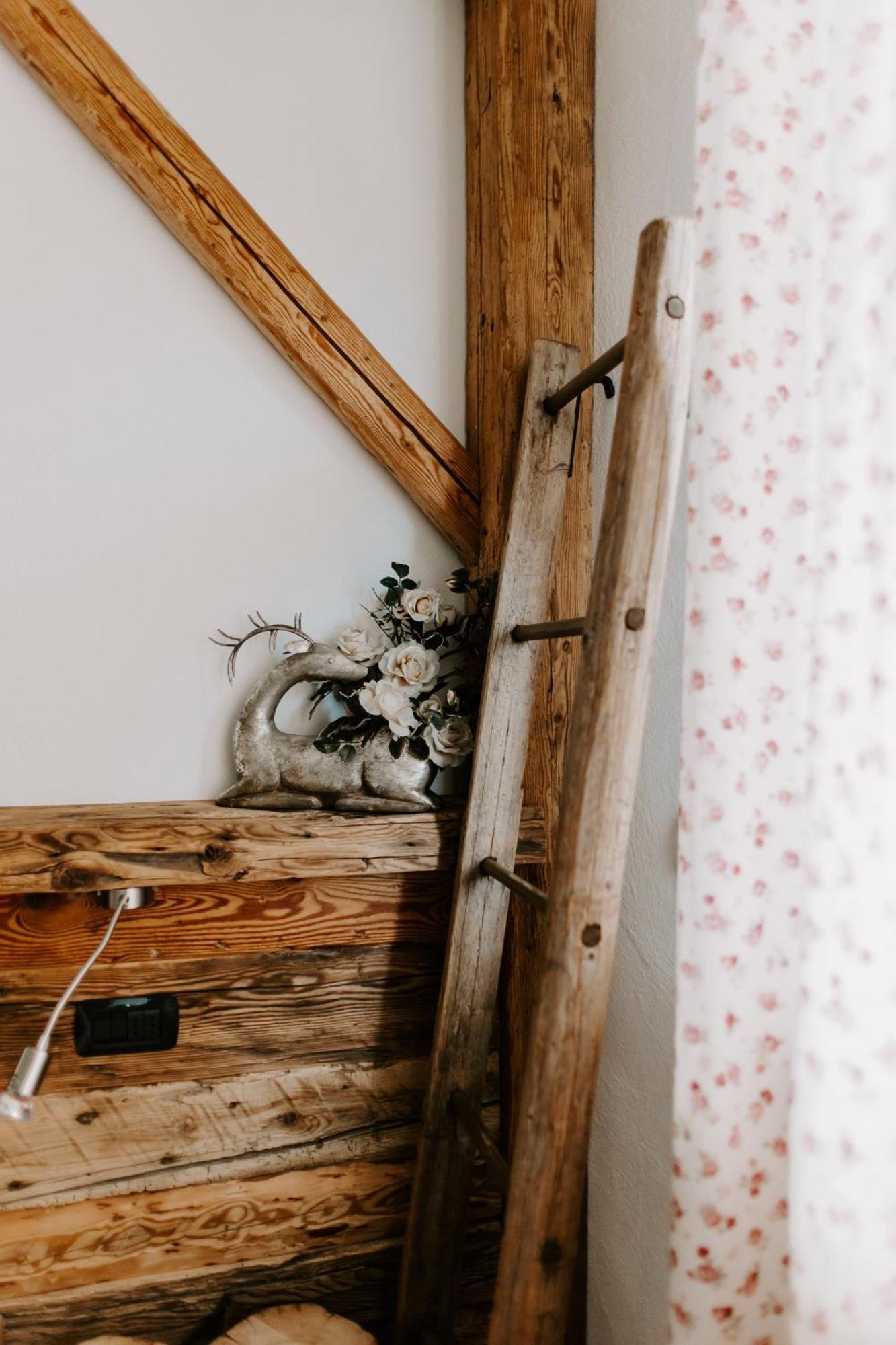 Fra Rose E Mughi Panzió Domegge di Cadore Kültér fotó