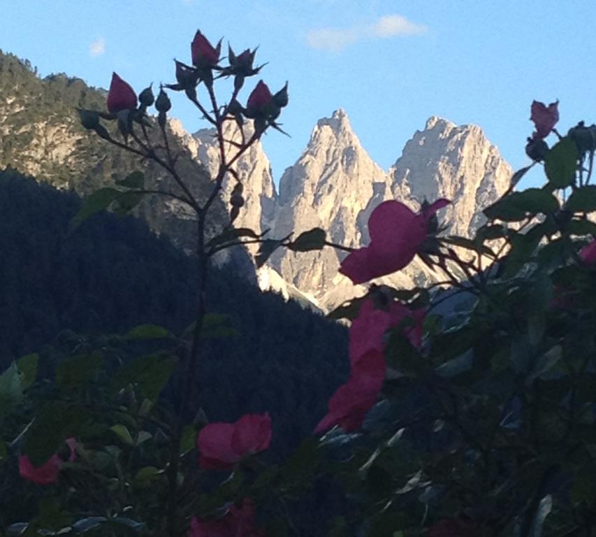Fra Rose E Mughi Panzió Domegge di Cadore Kültér fotó