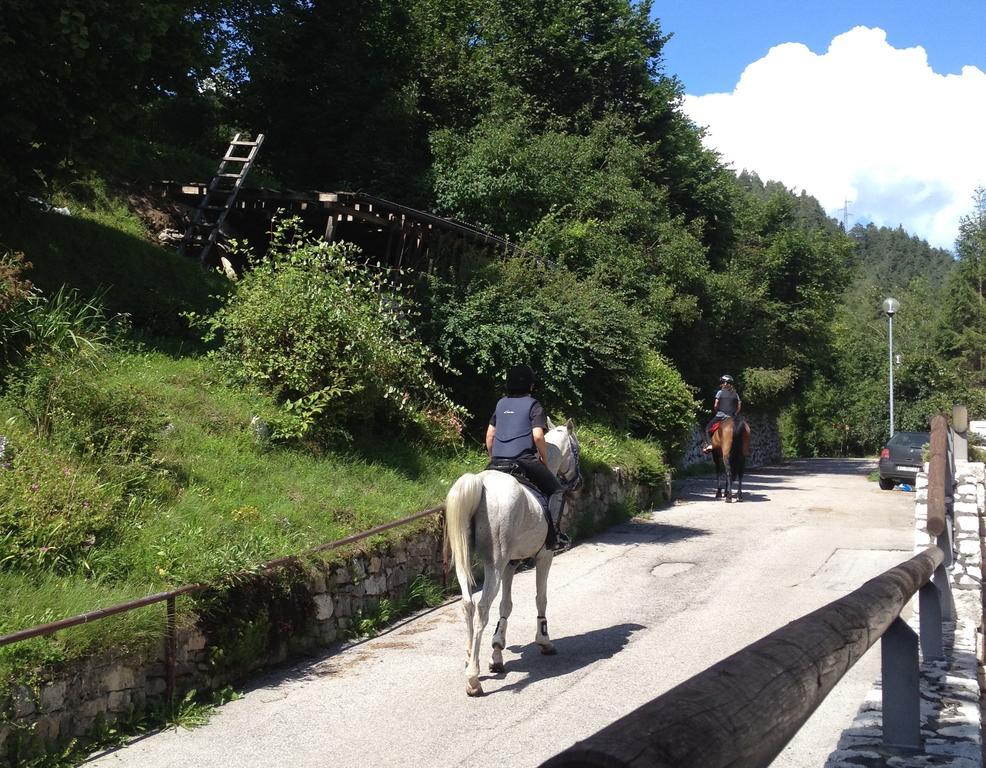 Fra Rose E Mughi Panzió Domegge di Cadore Kültér fotó
